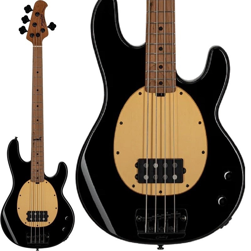 Pete Wentz Signature Stingray 【特価】