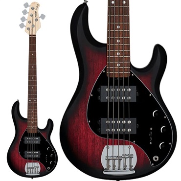 Sterling by MUSICMAN S.U.B. Series Ray5 HH (Ruby Red Burst Satin/Jatoba) 【特価】