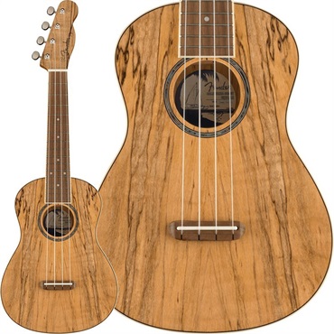 Fender Acoustics 【数量限定特価】【クリスマススペシャルSALE】 ZUMA EXOTIC CONCERT UKULELE (Spalted Maple) フェンダー