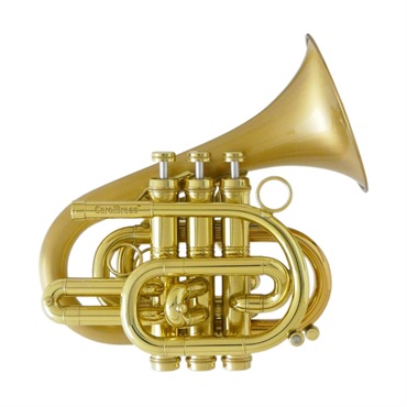 CAROL BRASS キャロルブラス / N7000 SATIN-BELL GB (Dizzy) 【Bb ポケット トランペット 】  ｜イケベ楽器店オンラインストア