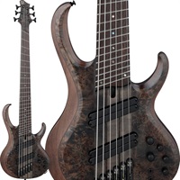 Bass Workshop BTB806MS-TGF [SPOT MODEL]【特価】