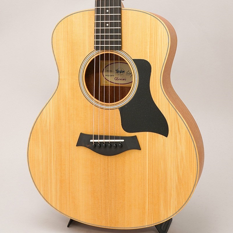 TAYLOR GS Mini　Sapele テイラー