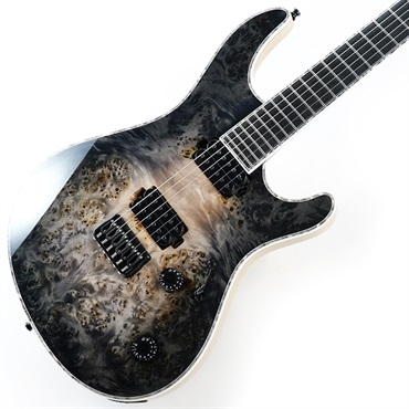 MAYONES Regius 6 Custom (4A Eye Poplar Top / Trans Natural Fade Black Burst Out Gloss)