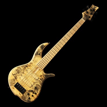 F-bass BN5-NTY (Buckeye Burl Top & Birdseye Maple F.B.)