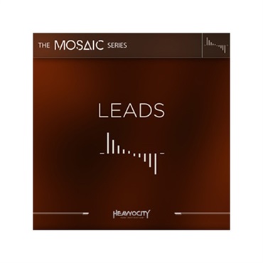 HEAVYOCITY MOSAIC LEADS(オンライン納品)(代引不可)