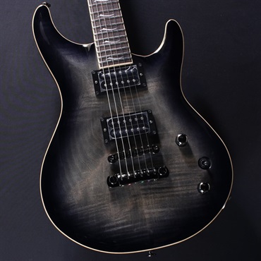 FUJIGEN EXPERT ELAN EEL-FM (Transparent Black Sunburst)#C241136