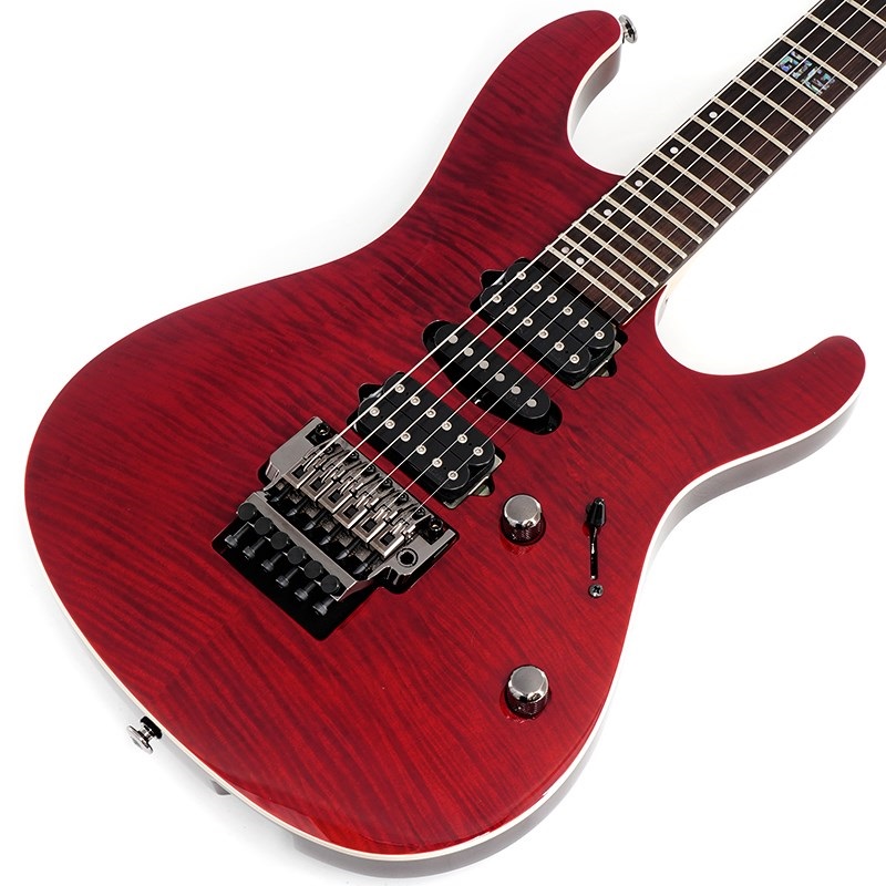 Ibanez KIKO100-TRR [KIKO LOUREIRO signature model] ｜イケベ楽器店オンラインストア