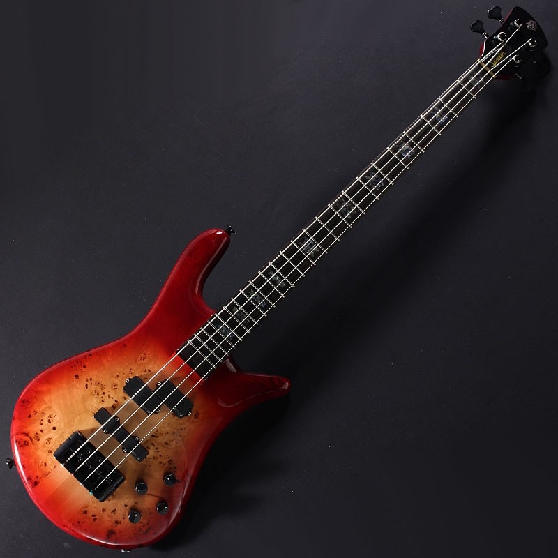 SPECTOR EURO 4 CST (Natural Red Burst Gloss) 【特価】 ｜イケベ楽器店オンラインストア