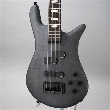 SPECTOR Euro 4 LX  (Black Stain Matte)