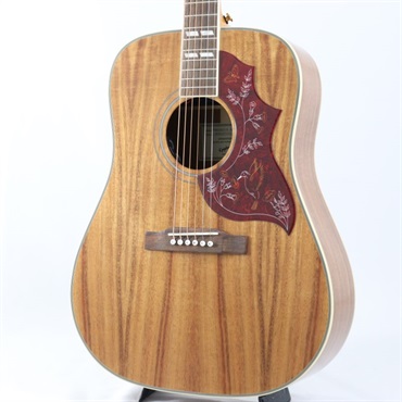 Epiphone Hummingbird Koa Special 【海外限定生産モデル】 エピフォン