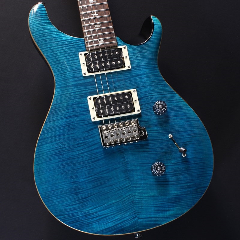 P.R.S. SE Custom 24 (Blue Matteo)