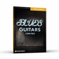 MIX PACK - BLUES GUITARS (トゥーントラック)(EZMIX 2)(オンライン納品)(2時間以内に納品)