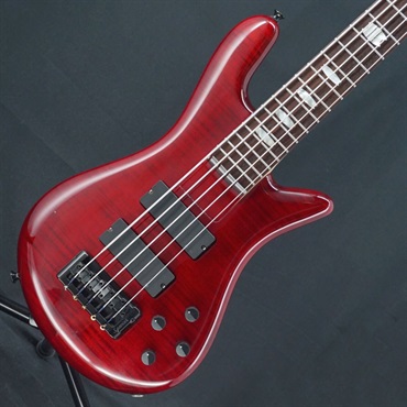 SPECTOR 【USED】 ReBop 5DLX (Black Cherry)