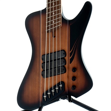 DINGWALL D-Roc Standard 5strings (Matte Vintageburst)