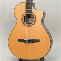 Jason Mraz Signature Model (JMSM) テイラー