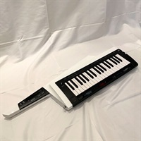 RK-100S2 WH【1台限定・メーカー再生品】