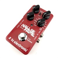 【USED】 Hall Of Fame Reverb