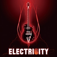ELECTRI6ITY(オンライン納品)(2時間以内に納品)