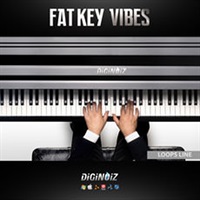 FAT KEY VIBES 1(オンライン納品)(2時間以内に納品)