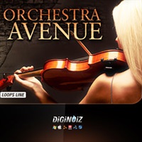ORCHESTRA AVENUE(オンライン納品)(2時間以内に納品)