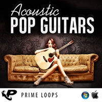 ACOUSTIC POP GUITARS(オンライン納品)(2時間以内に納品)