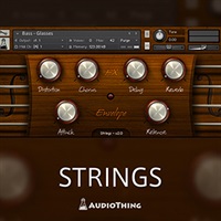 STRINGS(オンライン納品)(2時間以内に納品)