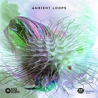 AMBIENT LOOPS BY AK(オンライン納品)(2時間以内に納品)