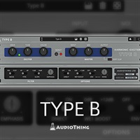 TYPE B(オンライン納品)(2時間以内に納品)