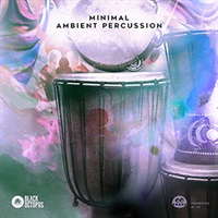【レゾナンスサウンド製品バンドルを除き約50%OFF！】MINIMAL AMBIENT PERCUSSION(オンライン納品)(2時間以内に納品)