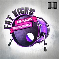 【厳選サンプルパック・シンセプリセットが約50%OFF！】FAT KICKS(オンライン納品)(2時間以内に納品)
