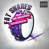 【厳選サンプルパック・シンセプリセットが約50%OFF！】FAT SNARES(オンライン納品)(2時間以内に納品)