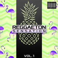 【厳選サンプルパック・シンセプリセットが約50%OFF！】REGGAETON SENSATION VOL 1(オンライン納品)(2時間以内に納品)