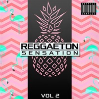 【厳選サンプルパック・シンセプリセットが約50%OFF！】REGGAETON SENSATION VOL 2(オンライン納品)(2時間以内に納品)
