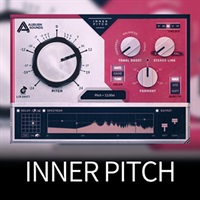 INNER PITCH(オンライン納品)(2時間以内に納品)
