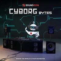 IRON PACK 13 - CYBORG BYTES(オンライン納品)(2時間以内に納品)