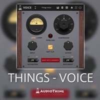 THINGS - VOICE(オンライン納品)(2時間以内に納品)