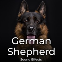 GERMAN SHEPHERD SOUND EFFECTS(オンライン納品)(2時間以内に納品)
