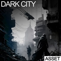 DARK CITY - ASSET(オンライン納品)(2時間以内に納品)