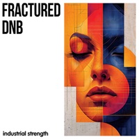 FRACTURED DNB(オンライン納品)(2時間以内に納品)