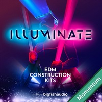ILLUMINATE - EDM CONSTRUCTION KITS MMT(オンライン納品)(2時間以内に納品)