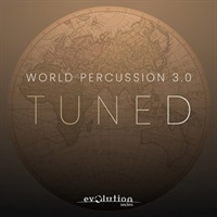WORLD PERCUSSION 3.0 TUNED(オンライン納品)(2時間以内に納品)