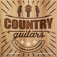 COUNTRY GUITARS(オンライン納品)(2時間以内に納品)