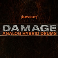【ヘヴィーオシティサマーセール！最大75%OFF！】ANALOG HYBRID DRUMS(オンライン納品)(2時間以内に納品)