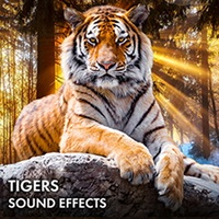 TIGERS SOUND EFFECTS(オンライン納品)(2時間以内に納品)