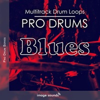 PRO DRUMS BLUES(オンライン納品)(2時間以内に納品)
