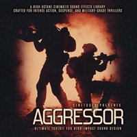 AGGRESSOR(オンライン納品)(2時間以内に納品)