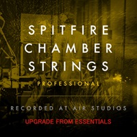 CHAMBER STRINGS PRO UPG FROM ESSENTIALS(オンライン納品)(2時間以内に納品)