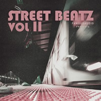 STREET BEATZ VOL 2(オンライン納品)(2時間以内に納品)