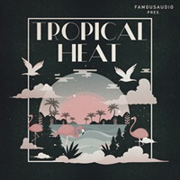 TROPICAL HEAT(オンライン納品)(2時間以内に納品)