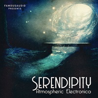 SERENDIPITY - ATMOSPHERIC ELECTRONICA(オンライン納品)(2時間以内に納品)
